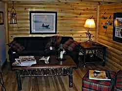 Leather Couches and Chairs 
